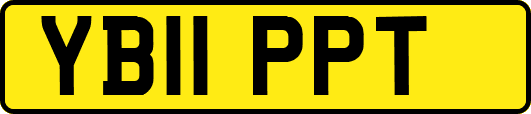 YB11PPT