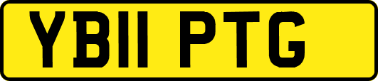 YB11PTG