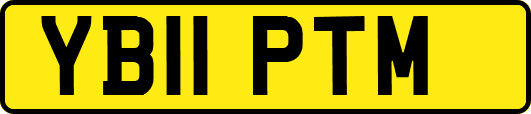 YB11PTM