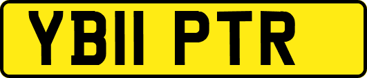 YB11PTR