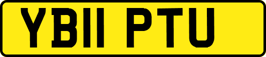 YB11PTU