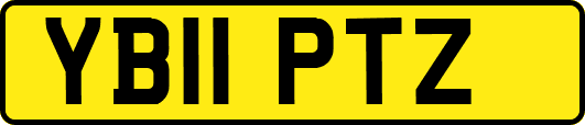 YB11PTZ