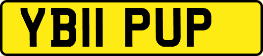 YB11PUP