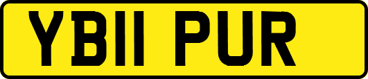 YB11PUR