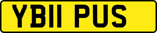 YB11PUS