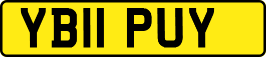 YB11PUY
