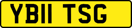 YB11TSG