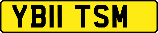 YB11TSM
