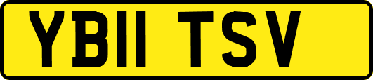 YB11TSV