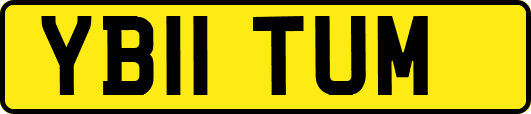 YB11TUM