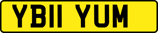 YB11YUM