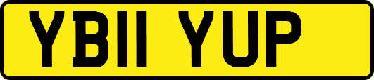 YB11YUP