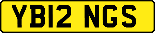 YB12NGS