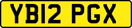 YB12PGX