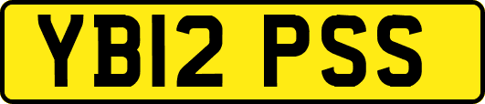 YB12PSS
