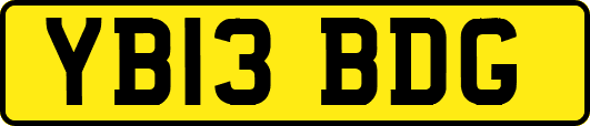 YB13BDG
