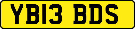 YB13BDS