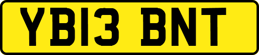 YB13BNT