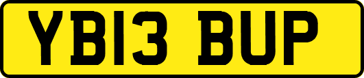 YB13BUP