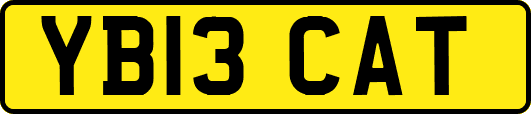 YB13CAT