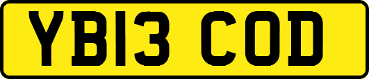 YB13COD