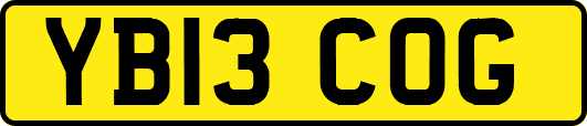 YB13COG