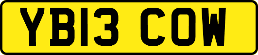 YB13COW