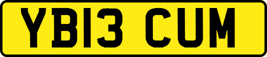 YB13CUM