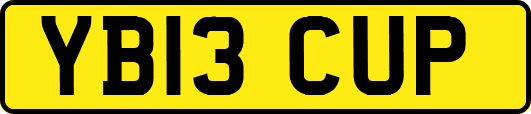 YB13CUP