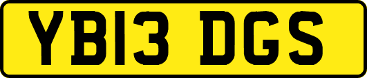 YB13DGS
