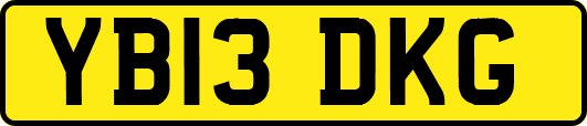 YB13DKG