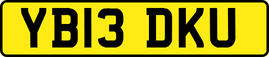 YB13DKU