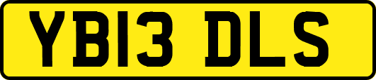 YB13DLS