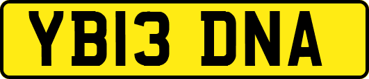 YB13DNA