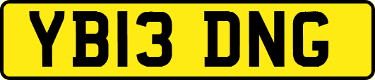 YB13DNG