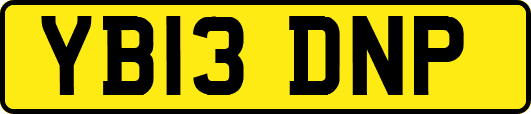 YB13DNP
