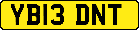 YB13DNT