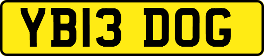 YB13DOG