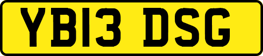 YB13DSG