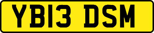 YB13DSM