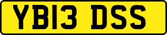 YB13DSS