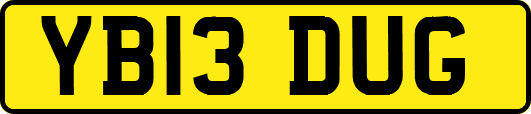 YB13DUG