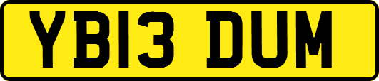 YB13DUM