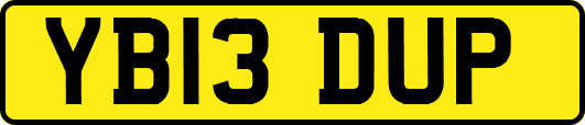 YB13DUP