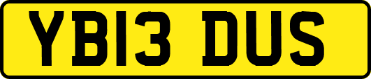 YB13DUS