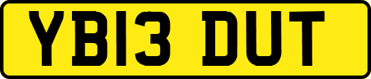 YB13DUT