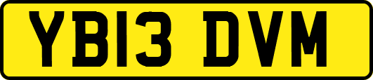 YB13DVM