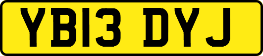 YB13DYJ