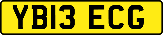 YB13ECG