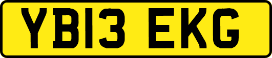 YB13EKG